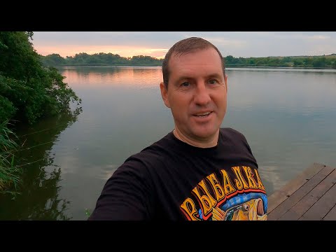 Видео: ПРУД ПЛЕСКАЮЩЕЙСЯ РЫБЫ!  Рыбалка В ЖАРУ на КАРПА!