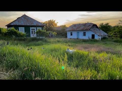 Видео: Молдавское село Тырново, 18.06.2023