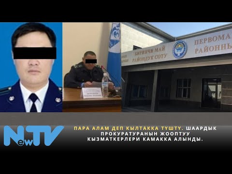 Видео: Пара алам деп кылтакка түштү. Шаардык прокуратуранын жооптуу кызматкерлери камакка алынды.