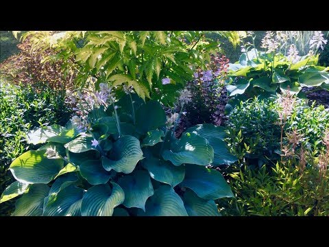 Видео: РАБАТКА ПО ПЕРИМЕТРУ ДОМА. ИЮЛЬ.