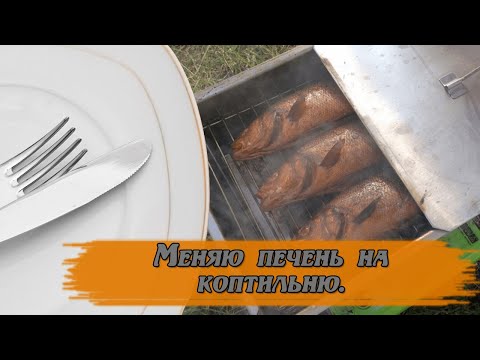 Видео: Меняю печень на коптильню. #горячеекопчение