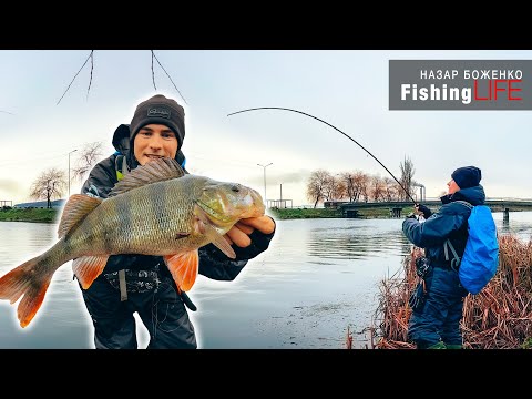 Видео: Рибалка На Теплому Каналі - ЖОР Судаків На Відвідний