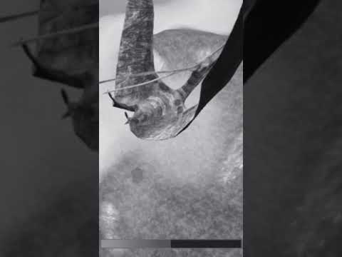 Видео: 🥷 #японскаяимперия #гимняпонскойимперии #япония #music #japan #thecursedisle #phonk #dinosaur