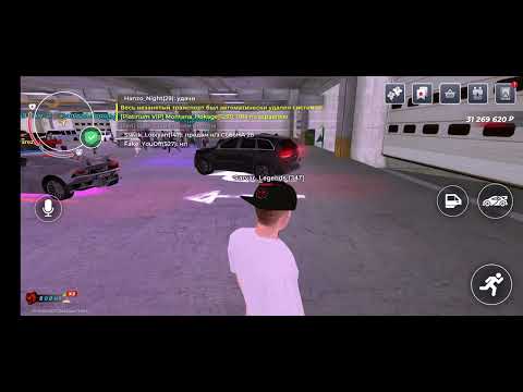 Видео: 7 ноября 2025 г.