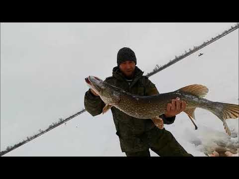 Видео: Щука. Жерлицы. Рыбалка одной поклёвки. 8 кг.