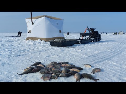 Видео: Попал на ночной клев крупного  карася. озеро Чаны