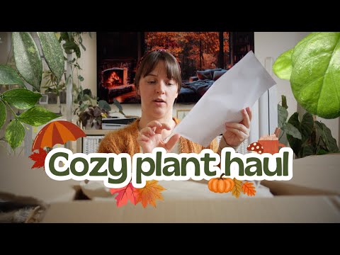 Видео: 🍄Уютная доставка растений 🍁Распаковка 3 прекрасных хой 😍🌿