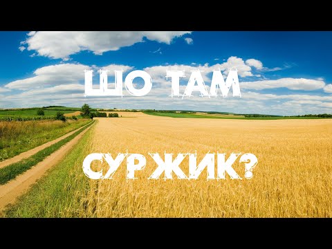 Видео: Російський суржик чи реґіональна норма? | Квантова філологія