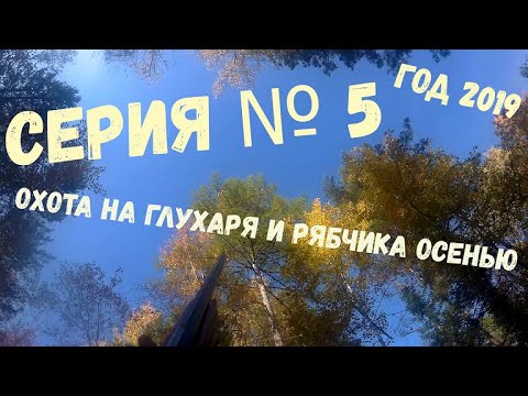 Видео: СЕРИЯ № 5. Охота осенью на рябчика и глухаря.