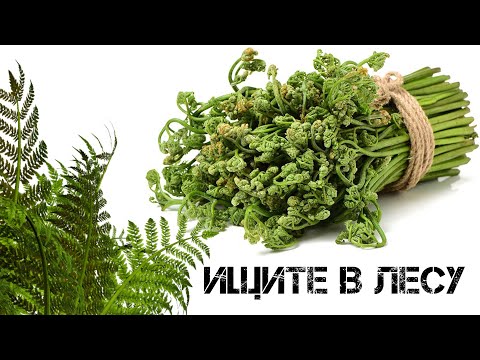 Видео: Переходим на папоротник. Прощай Макдональдс