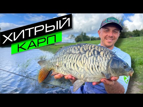 Видео: ЛОВЛЯ КАРПА НА ФИДЕР / ЛОВЛЯ КАРПА НА ФЛЭТ / FROS FISHING