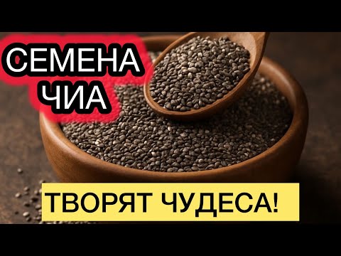 Видео: Я ЕЛ СЕМЕНА ЧИА 30 ДНЕЙ-РЕЗУЛЬТАТ ШОКИРОВАЛ! #здоровье #семеначиа #здоровыйдух 