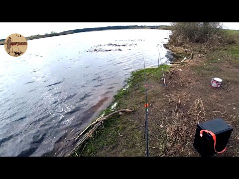 Видео: Рыбалка которую ждёшь весь год.Сильная рыба дарит эмоции.Сamping ,fishing,bushcraft