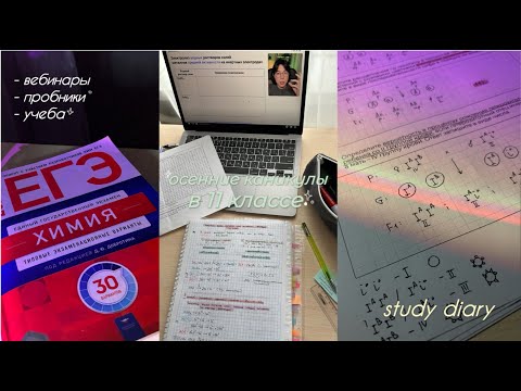 Видео: study diary: подготовка к егэ на каникулах / будни 11-классницы