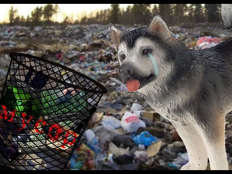 Видео: БЕСЯТ ШЛЯЙХ КЛИПЫ // как правильно их снимать?