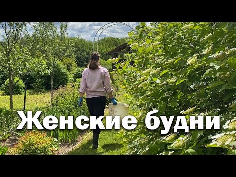 Видео: Женские будни//Как все успеть?//Надоело, ломаю огород