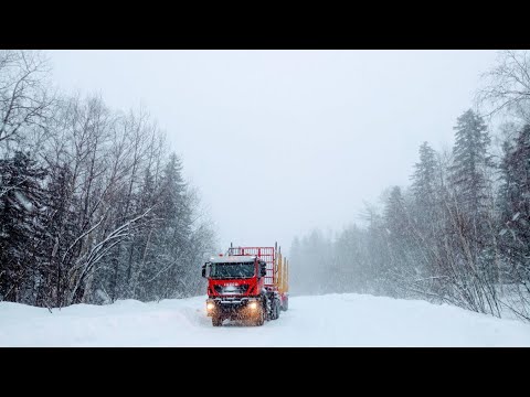 Видео: Антиреспект#Я еще не умер