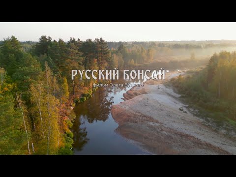 Видео: Русский Бонсай