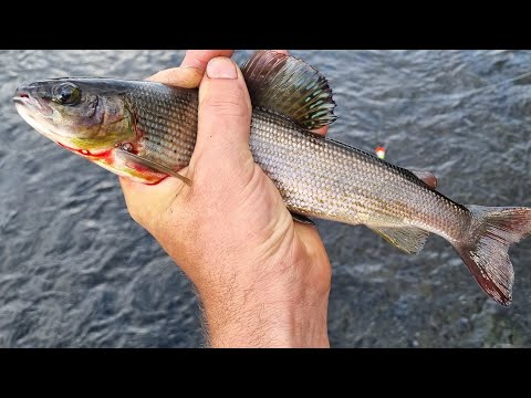 Видео: Северный Урал часть2 р. Лозьва