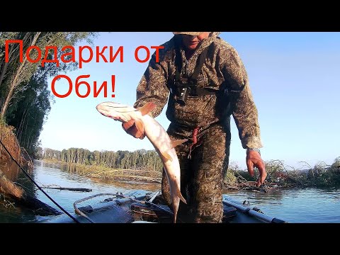 Видео: Июльский хищник в коряжнике! Рыбалка на Оби.