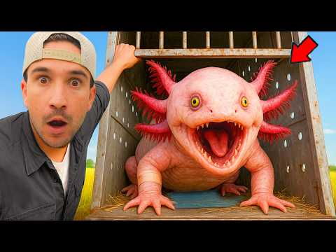 Видео: Я спас брошенную рыбу от гибели...