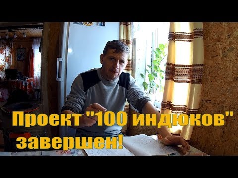 Видео: Проект "100 ИНДЮКОВ" завершен!  // Индюки разведение в ЛПХ