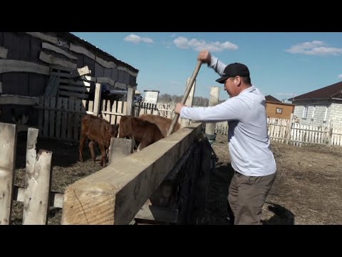 Видео: Переселение в северные регионы: какую поддержку получают граждане