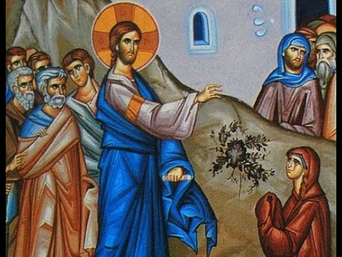 Видео: Неділя 17-та по Зісланні Святого Духа. Божественна Літургія (05.10.2025)