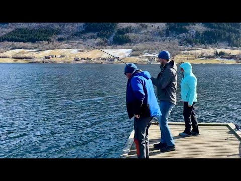 Видео: Донка с Креветкой РУЛИТ! Думали ПАЛТУС… Рыбалка в апреле, Норвегия