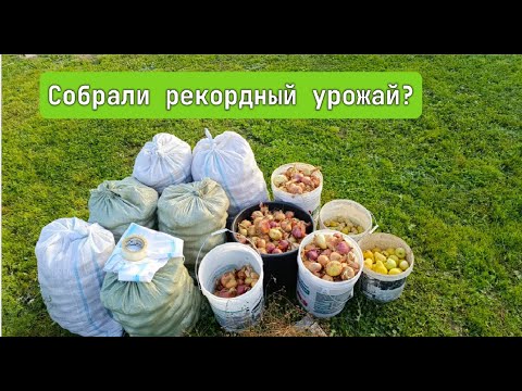 Видео: Один день в деревне.