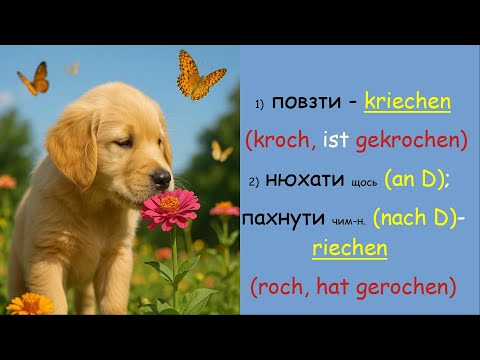 Видео: Римовані неправильні німецькі дієслова 2 частина