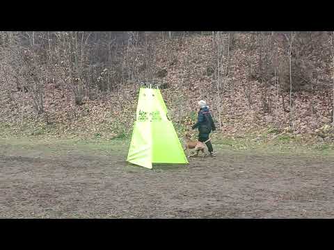 Видео: АСТ Огненный Шторм Шоу Ассорти'К  и Хмельницкая Екатерина, IGP-1, часть С