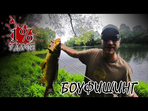 Видео: 1% Экстра: Охота с рекурсивным луком на карпа с берега или боуфишинг