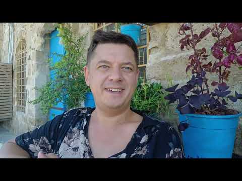 Видео: Арсений Гончуков покорил сердца израильтян всего за два месяца!