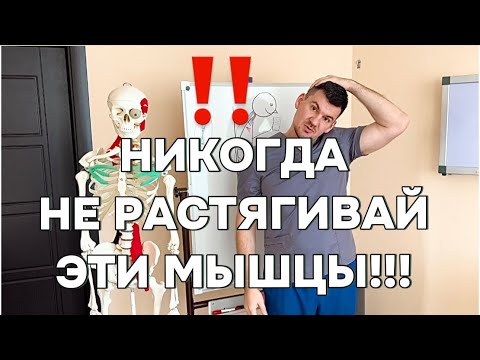 Видео: ЭТИ МЫШЦЫ ЗАПРЕЩЕНО РАСТЯГИВАТЬ! Никогда не растягивай эти мышцы даже за деньги