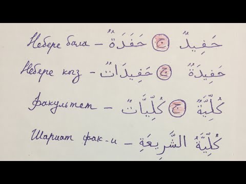 Видео: 14-сабак конугуулор жаны создор