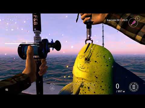 Видео: Fishing Planet. Кайро-Нори. Миссия -"Техническое приключение". Часть 2я. Настройка эхолота.