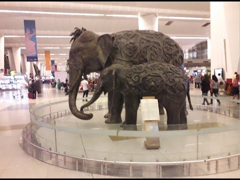 Видео: Рериховские места. (6) Гималаи: перспективы развития рериховского туризма