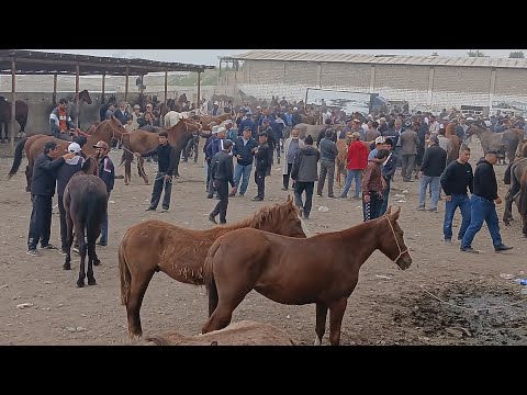 Видео: Ш ДУШАНБЕ АСП БОЗОРИ ЛЕНИСКИЙ РАЁН