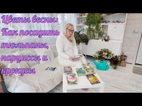 Видео: ЦВЕТЫ ВЕСНЫ  Как посадить тюльпаны, нарциссы и крокусы.