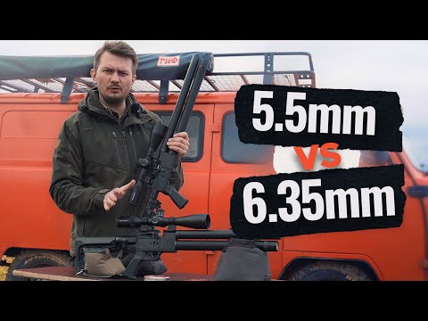 Видео: КАКОЙ КАЛИБР ВЫБРАТЬ НА PCP? 5,5 или 6,35 мм? ВИНТОВКИ STORM MINIGUN / ОБЗОР VECTOR CONTINENTAL