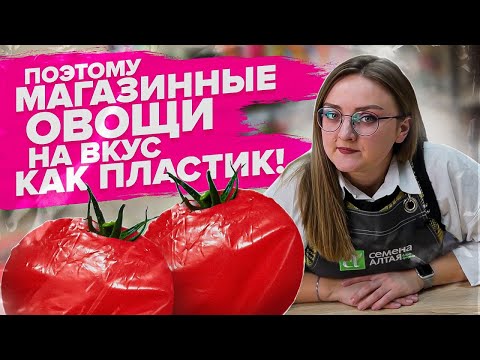 Видео: ВЫРАЩИВАНИЕ ТОМАТОВ БЕЗ ПИКИРОВКИ, КАК ВЫРАСТИТЬ РОВНУЮ МОРКОВЬ?! Ответы на вопросы Семена Алтая