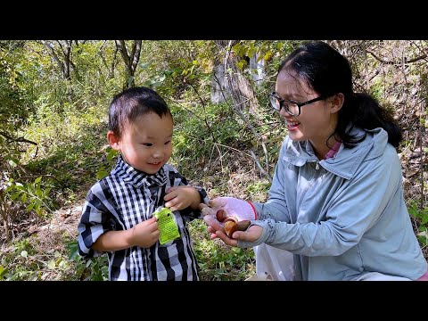 Видео: Йике стильно собирала каштаны, и было очень весело собирать их.