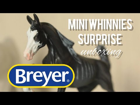 Видео: РАСПАКОВКА BREYER Mini Whinnies l Лошадки-малютки!