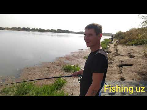 Видео: Рыбалка на Сырдарье