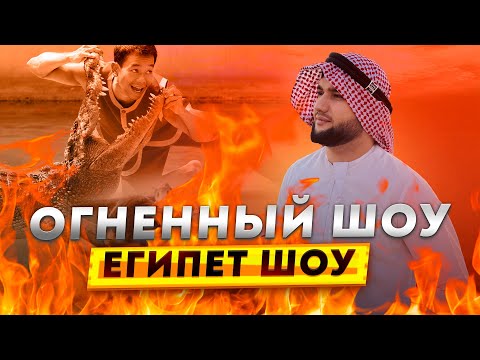 Видео: Египет Шоу крокодилов, Шоу кобра,