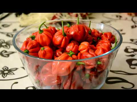 Видео: Адское пекло-2 / Соус Табаско и растирка от ушибов из перца Хабанеро!