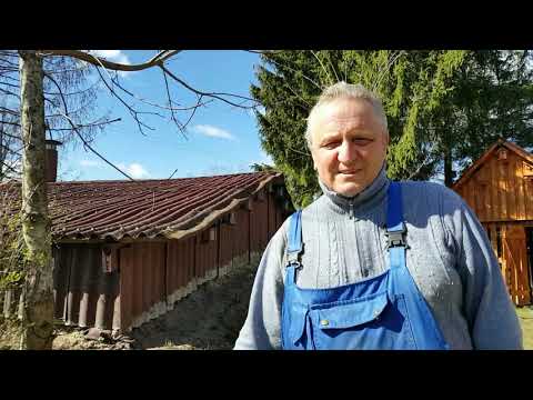 Видео: Дрова в сарай("чага", ага и др.).