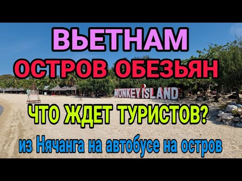 Видео: Остров обезьян в Нячанге. Обезьяны нападают на людей. часть 2