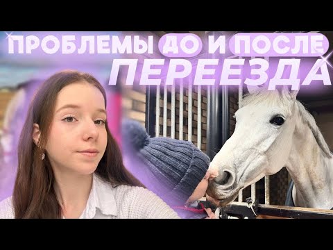 Видео: ПРОБЛЕМЫ ПЕРЕЕЗДА в другую конюшню: к такому меня жизнь не готовила..